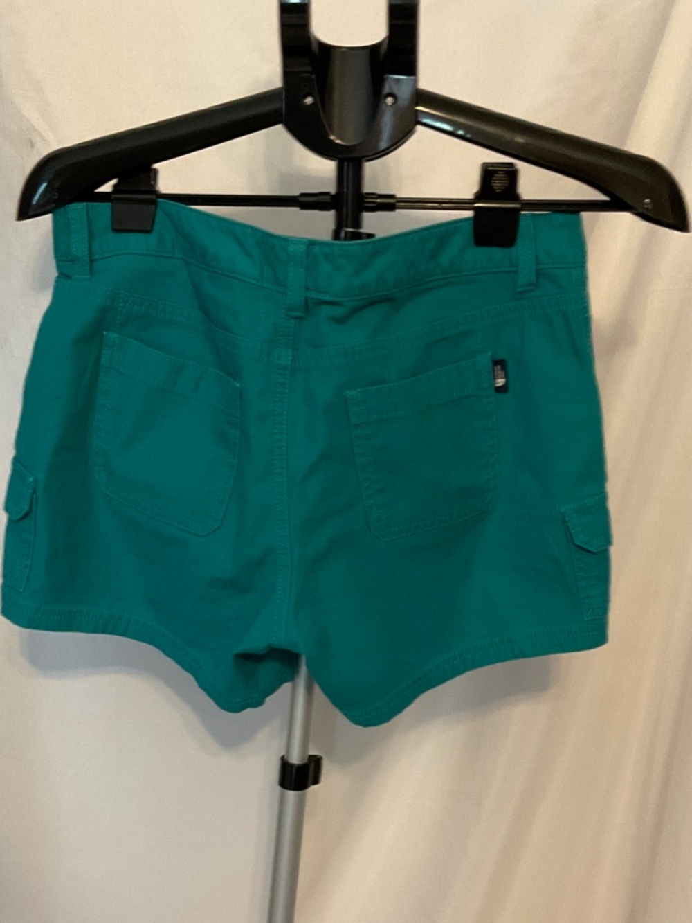 The North Face Teal Women's Cargo Shorts